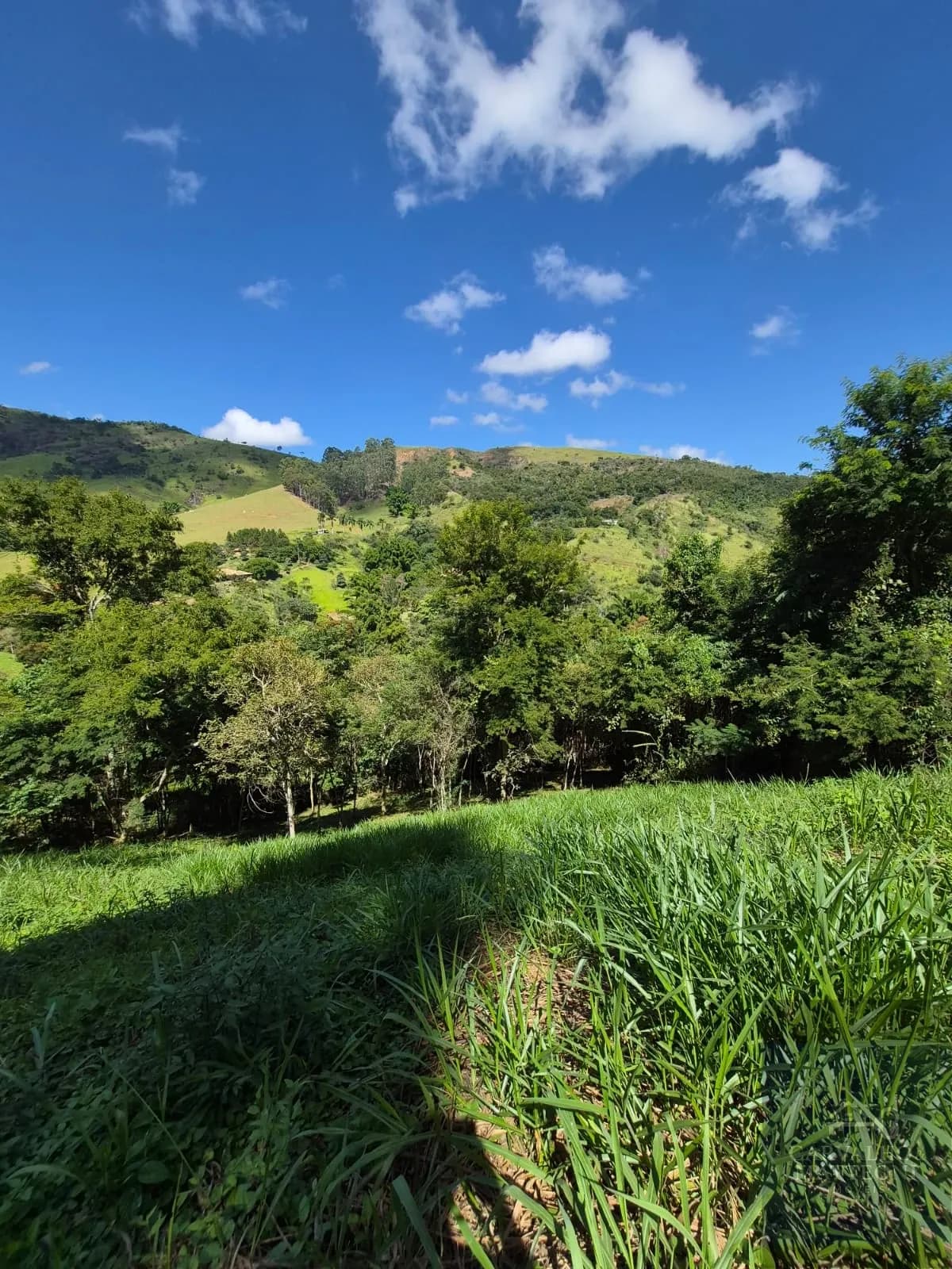 Terreno em Secretário 