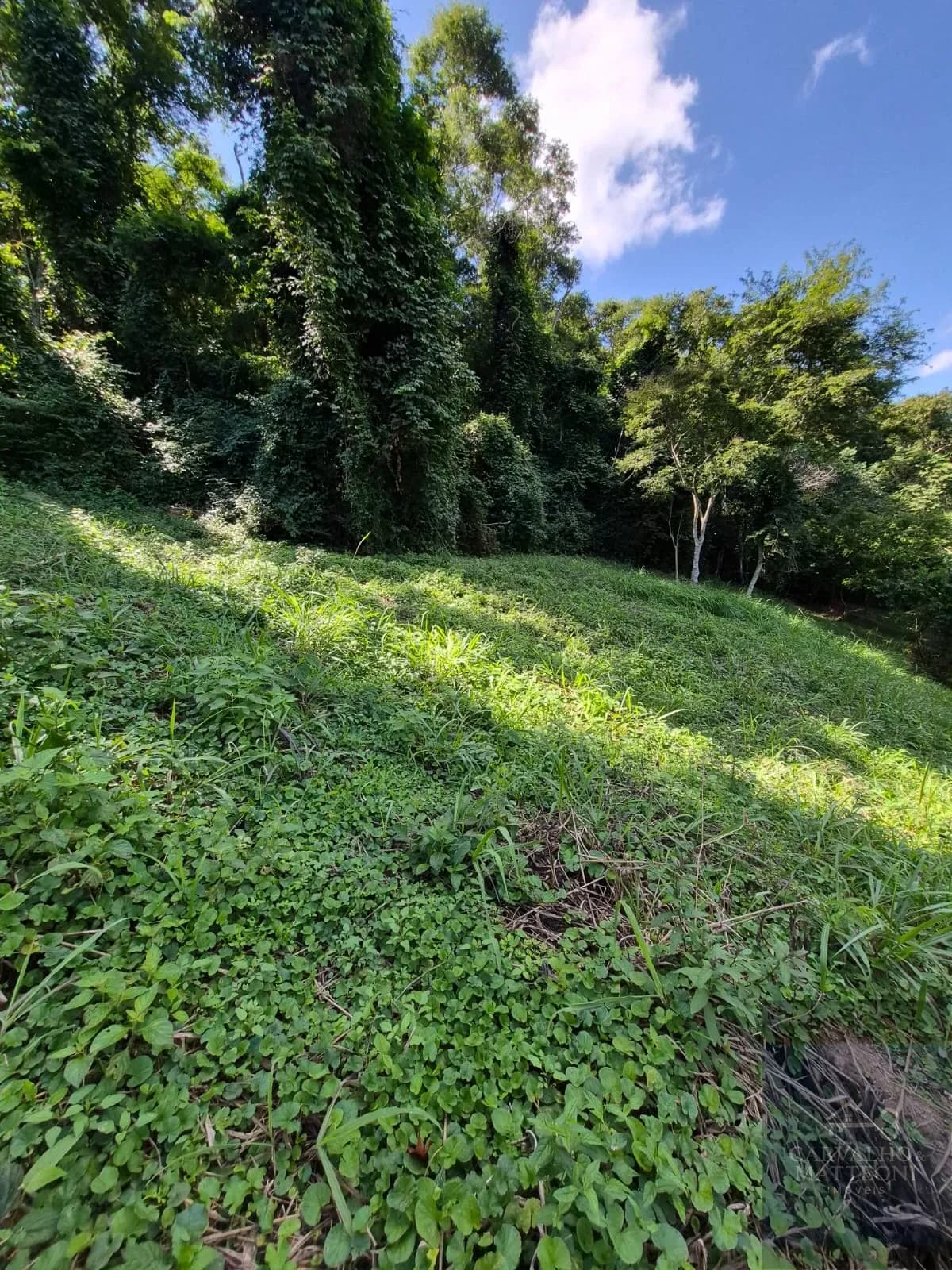 Terreno em Secretário