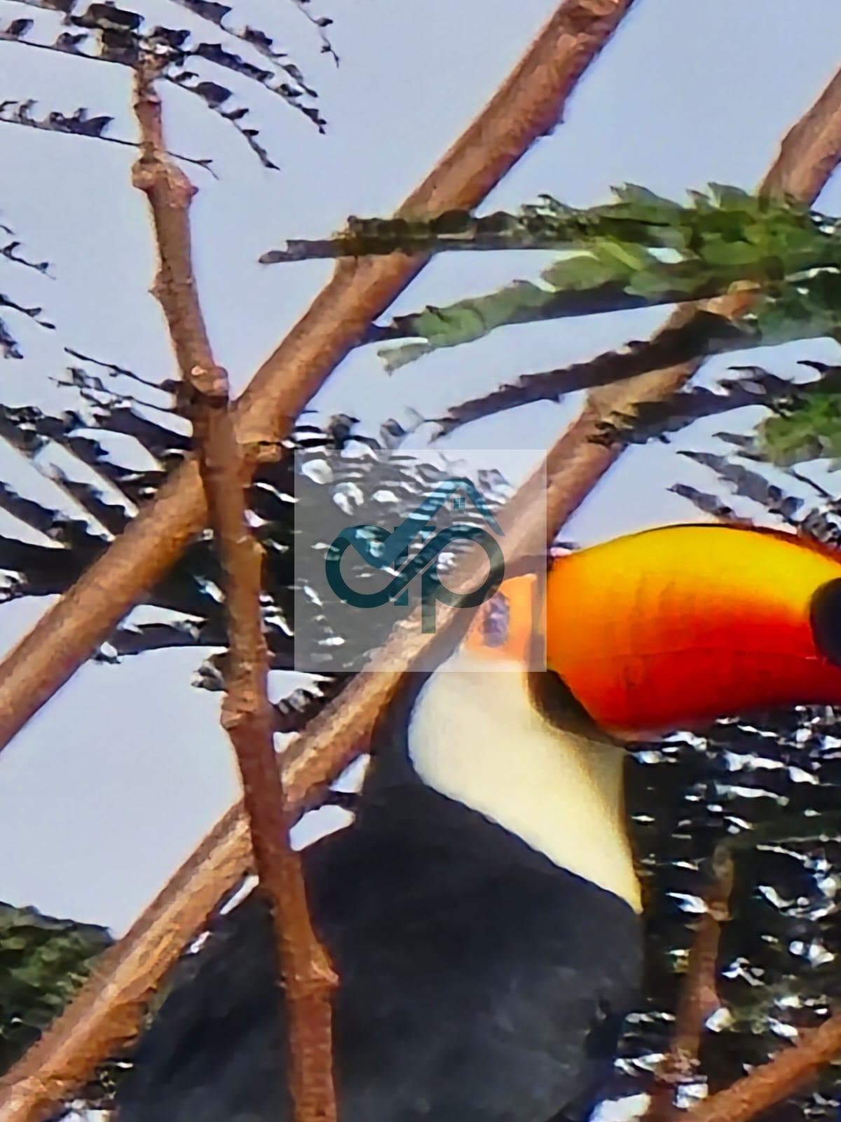 Miniatura 21