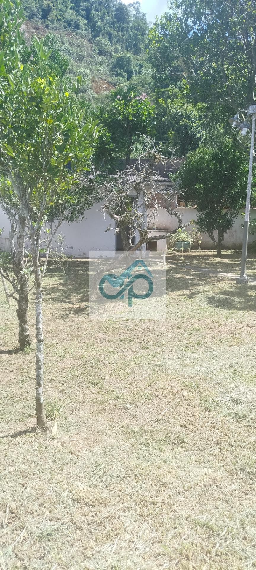 Miniatura 19